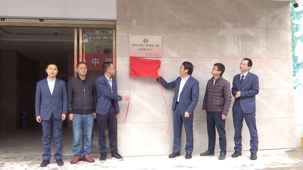 德化農(nóng)信聯(lián)社：為林業(yè)發(fā)展注入金融“活水”