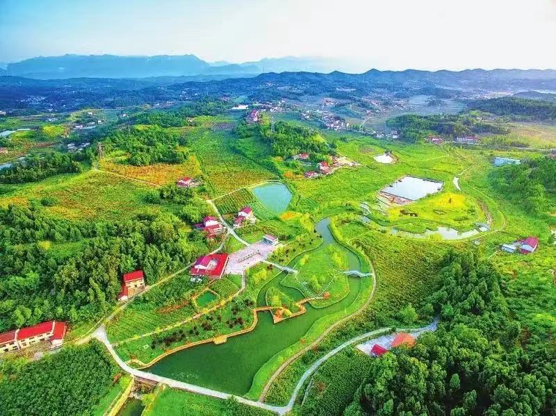 農(nóng)發(fā)行四川省分行 投放3億元貸款支持江油市國(guó)家儲(chǔ)備林建設(shè)