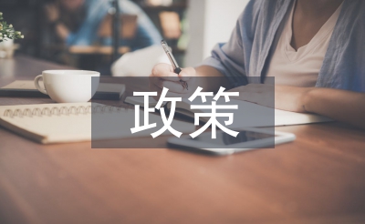 新經濟政策的弊端
