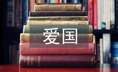 愛國活動總結