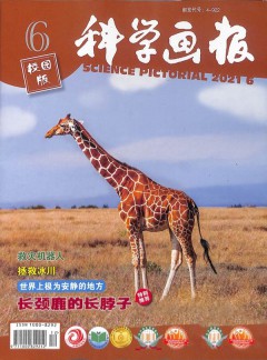 科學(xué)畫報(bào)雜志