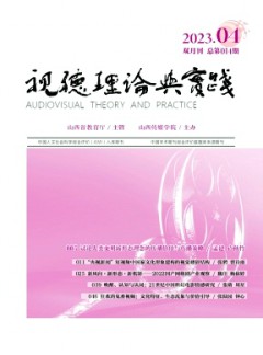 視聽理論與實踐雜志