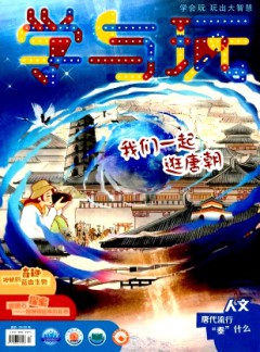 學與玩雜志