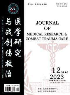 醫學研究與戰創傷救治雜志